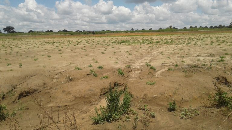 Read more about the article Akii Bua Stadium Being Eaten Away By Erosion
